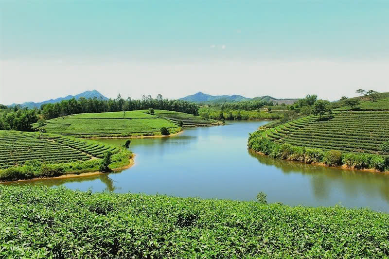 Đọc hiểu Quê mình của Nguyễn Thế Kỷ