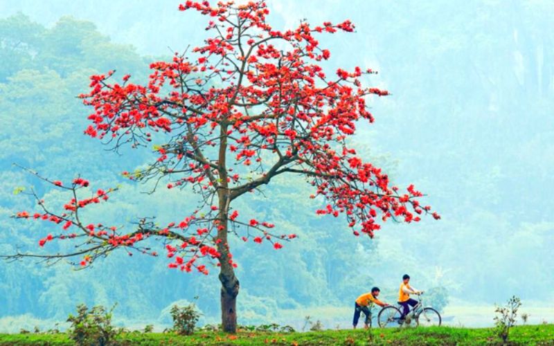 Đọc hiểu Tự tình tháng 3 của Bình Nguyên Trang