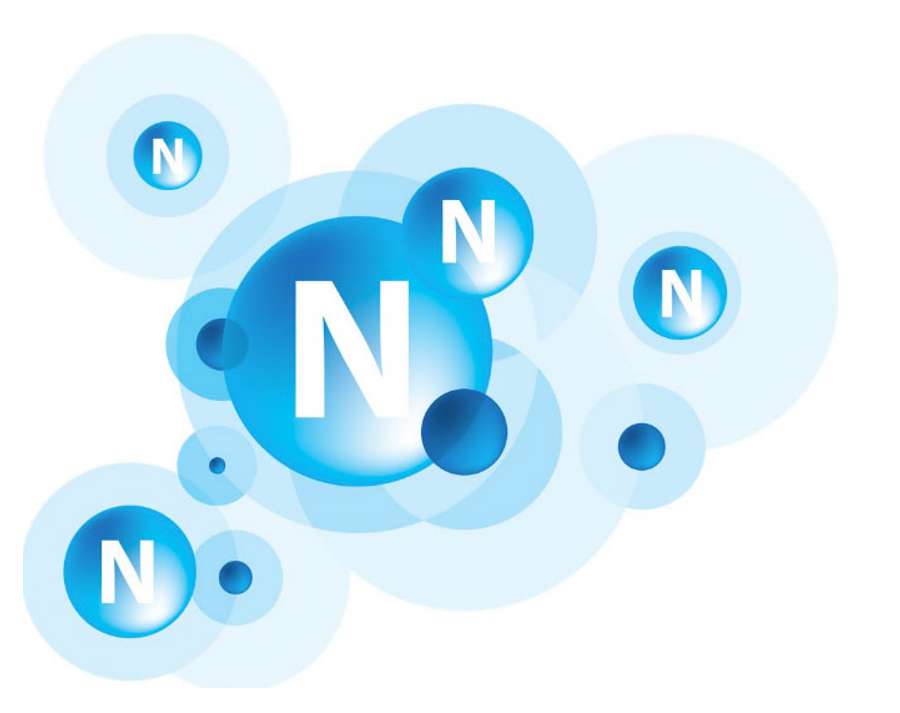 Tìm hiểu đối với cây trồng nguyên tố nitơ có chức năng như thế nào