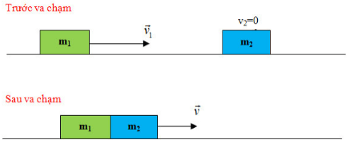 Đơn vị của động lượng là (hình 6)
