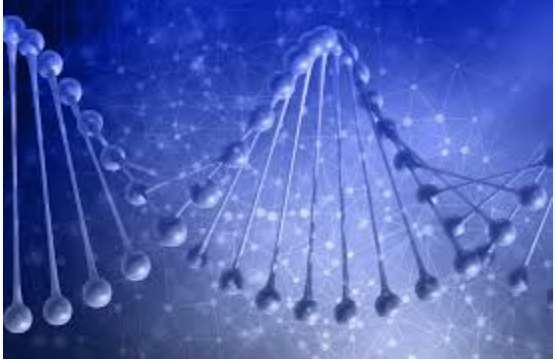 Đơn vị mã hóa thông tin di truyền trên ADN được gọi là mã di truyền có bộ ba khởi đầu