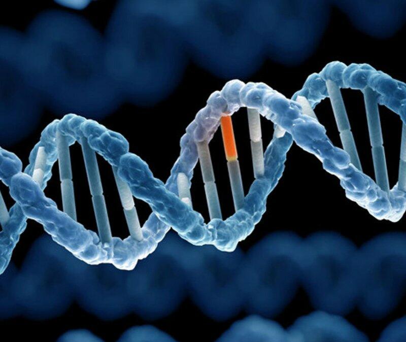 Đột biến nhiễm sắc thể thường gây hậu quả nghiêm trọng hơn so với đột biến gen vì