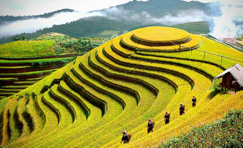 Câu 12 trang 49 SBT Địa lí 12 Cánh diều: Du lịch sinh thái gắn với tìm hiểu bản sắc văn hóa các dân tộc thiểu số là sản phẩm du lịch đặc trưng của vùng