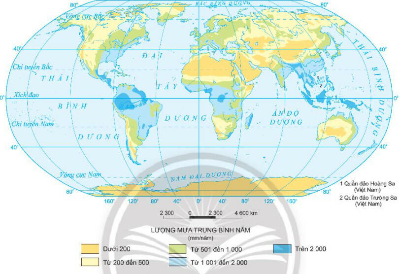 Dựa vào hình 10.2 hãy trình bày sự phân bố lượng mưa trung bình năm trên các lục địa và giải thích nguyên nhân