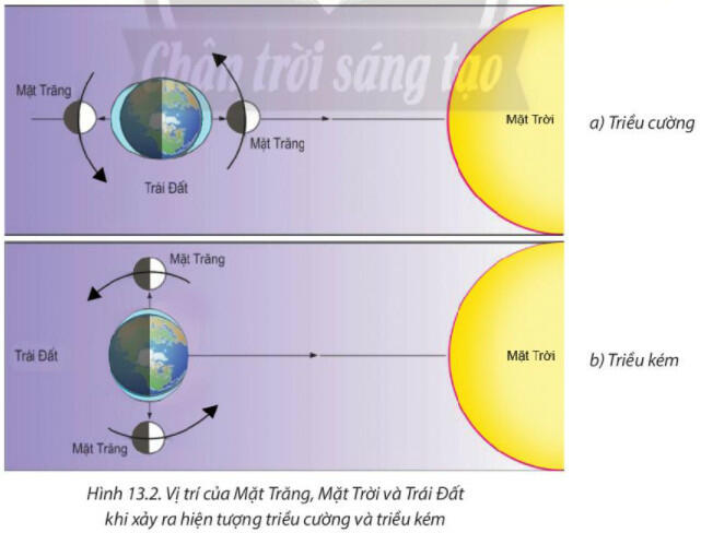Dựa vào hình 13.2, hình 13.3 nhận xét về vị trí của Mặt Trời, Mặt Trăng và Trái Đất khi có triều cường và triều kém