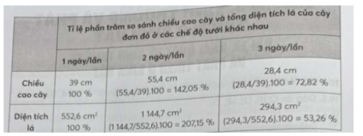 Câu 20.3 trang 71 SBT Sinh học 11: Dựa vào Hình 20.2 (SGK, trang 133), nếu lấy số liệu khi tưới 1 ngày/lần làm chuẩn, hãy tính tỉ lệ phần trăm so sánh về chiều cao cây và tổng diện tích lá của cây đơn đỏ khi tưới 2 ngày/lần và tưới 3 ngày/lần.