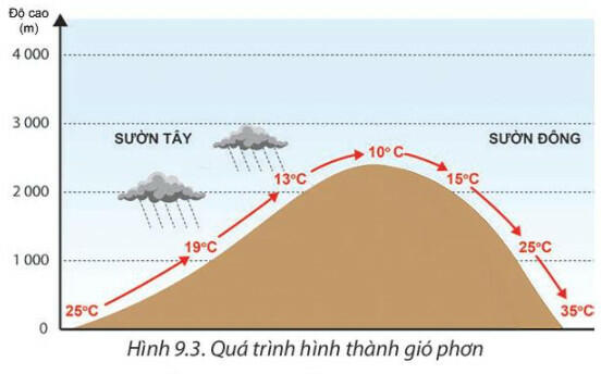 Dựa vào hình 9.3 hãy nêu sự khác nhau về nhiệt độ không khí và lượng mưa ở sườn đón gió và sườn khuất gió