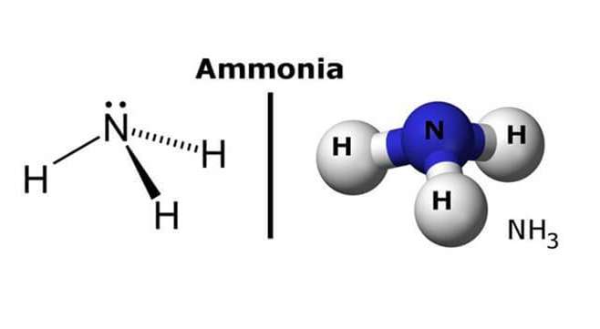 Dung dịch Amoniac trong nước có chứa những ion nào?