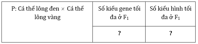 Đúng sai Sinh 12 Đa allele, trội không hoàn toàn (ảnh 1)