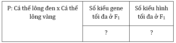 Đúng sai Sinh 12 Đa allele, trội không hoàn toàn (ảnh 2)