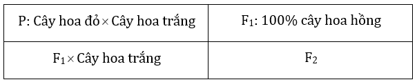 Đúng sai Sinh 12 Đa allele, trội không hoàn toàn (ảnh 3)