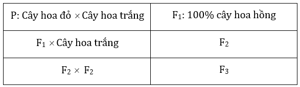 Đúng sai Sinh 12 Đa allele, trội không hoàn toàn (ảnh 4)