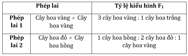 Đúng sai Sinh 12 Đa allele, trội không hoàn toàn (ảnh 5)