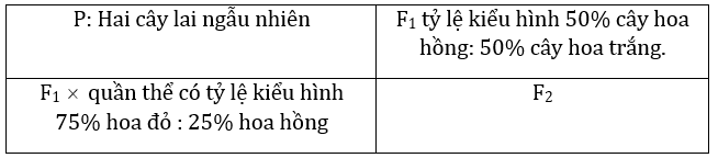 Đúng sai Sinh 12 Đa allele, trội không hoàn toàn (ảnh 6)