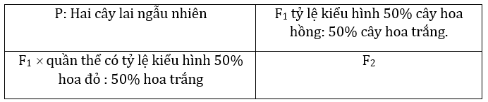 Đúng sai Sinh 12 Đa allele, trội không hoàn toàn (ảnh 7)