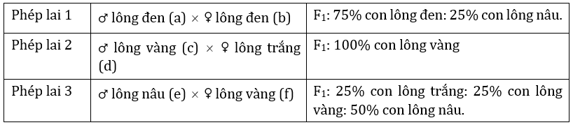 Đúng sai Sinh 12 Đa allele, trội không hoàn toàn (ảnh 8)