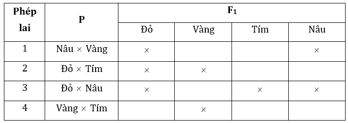Đúng sai Sinh 12 Đa allele, trội không hoàn toàn (ảnh 9)