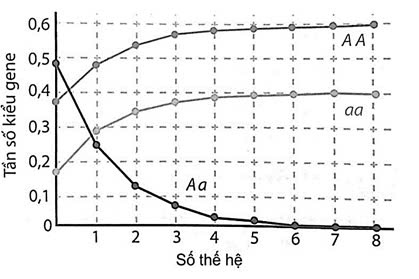Đúng sai Sinh 12 Di truyền quần thể (ảnh 3)