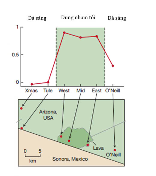 Đúng sai Sinh 12 Di truyền quần thể (ảnh 9)