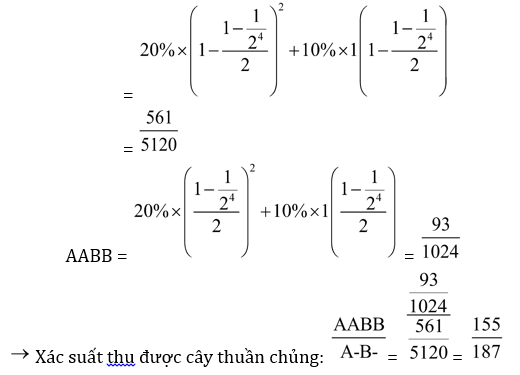 Đúng sai Sinh 12 Di truyền quần thể (ảnh 12)
