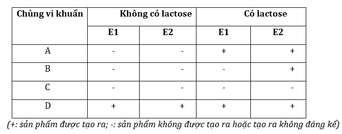 Đúng sai Sinh 12 Điều hòa biểu hiện Gene