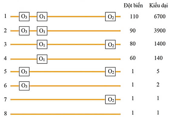 Đúng sai Sinh 12 Điều hòa biểu hiện Gene