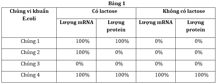 Đúng sai Sinh 12 Điều hòa biểu hiện Gene