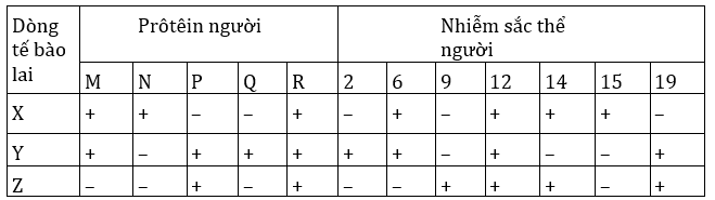 Đúng sai Sinh 12 Đột biến cấu trúc nhiễm sắc thể (ảnh 10)