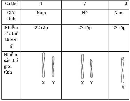 Đúng sai Sinh 12 Đột biến cấu trúc nhiễm sắc thể (ảnh 11)