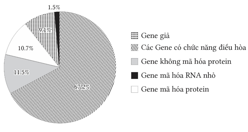 Đúng sai Sinh 12 Hệ Gene (ảnh 1)