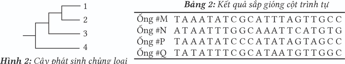 Đúng sai Sinh 12 Hệ Gene (ảnh 3)