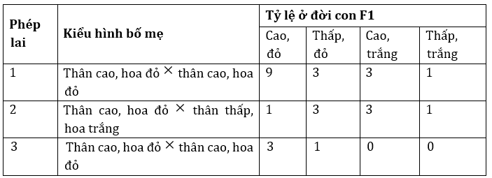 Đúng sai Sinh 12 Hoán vị gene
