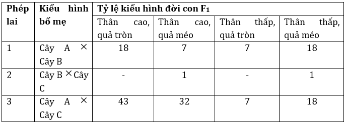 Đúng sai Sinh 12 Hoán vị gene