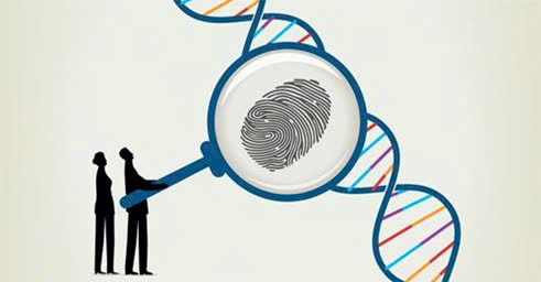 Đúng sai Sinh 12 Nhân đôi DNA và ứng dụng nhân đôi DNA (ảnh 7)