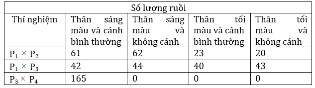 Đúng sai Sinh 12 Quy luật phân li độc lập (ảnh 3)