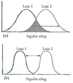Đúng sai Trả lời ngắn Sinh 12 Sinh thái học quần thể (ảnh  (ảnh 2)