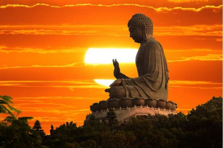 Em hãy nêu vị trí của Đạo Phật ở thời Lý?