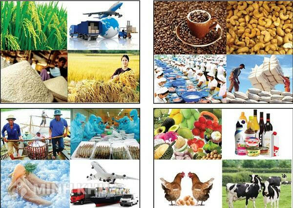 Hãy phân tích các nhân tố ảnh hưởng tới sự phát triển và phân bố nông nghiệp, lâm nghiệp, thủy sản