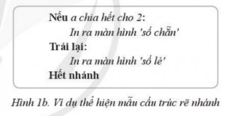 Hoạt động trang 72 Tin học 10 Cánh diều: Em hãy vẽ sơ đồ khối thể hiện cấu trúc rẽ nhánh trong ví dụ ở Hình 1b.