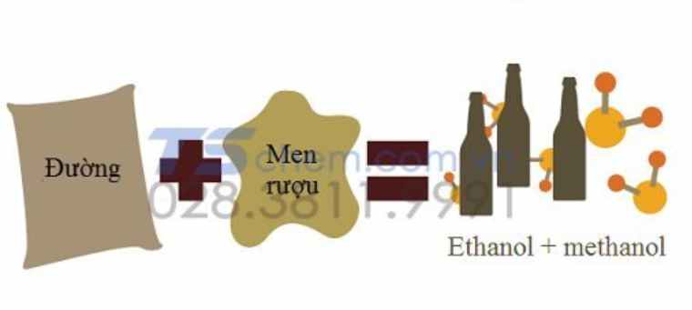 [CHUẨN NHẤT] Ethanol là gì?(ảnh 4)