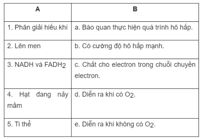 Bài 6.1 trang 20 SBT Sinh học 11: Ghép nội dung cột A với cột B cho phù hợp.