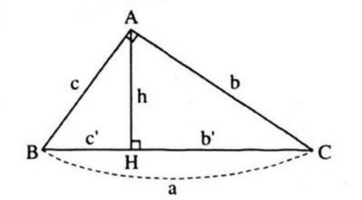 Giải tam giác vuông là gì?