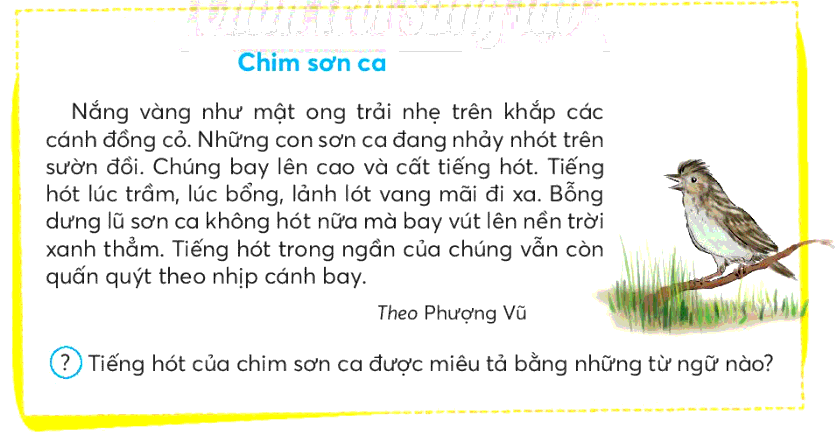 Trả lời câu hỏi Ôn tập cuối học kì I Tiếng Việt lớp 3 - Sách mới Chân Trời Sáng Tạo (ảnh 8)