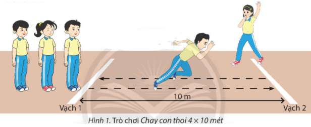 Giáo án Thể dục 6 bài 1 (Chân trời sáng tạo): Động tác bổ trợ chạy kĩ thuật chạy, kĩ thuật chạy giữa quãng (ảnh 11)