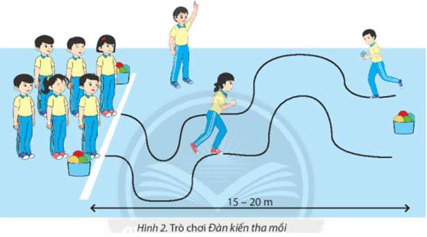 Giáo án Thể dục 6 bài 1 (Chân trời sáng tạo): Động tác bổ trợ chạy kĩ thuật chạy, kĩ thuật chạy giữa quãng (ảnh 2)