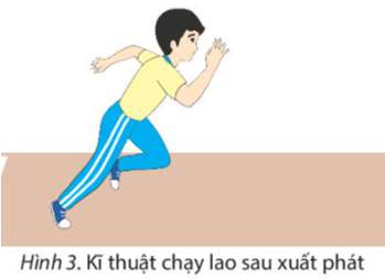 giao-an-the-duc-bai-2-chan-troi-sang-tao-ki-thuat-xuat-phat-va-chay-lao-sau-xuat-phat (ảnh 4)