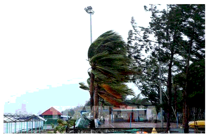 Gió tây ôn đới có nguồn gốc xuất phát từ