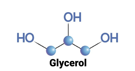 Glixerol có tan trong nước không