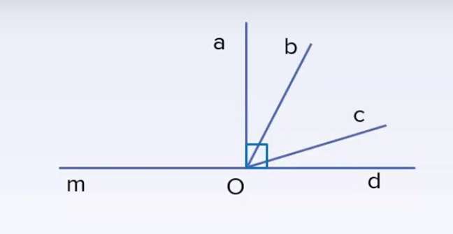 [CHUẨN NHẤT] Hai góc kề nhau là gì? (ảnh 4)