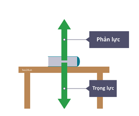 [ĐÚNG NHẤT] Hai lực trực đối là hai lực (ảnh 2)